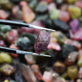 Rare Huge Uncut Natural Mix Sapphire 221.58 Rough with Certification Lot